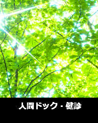 新緑に光が差し込む