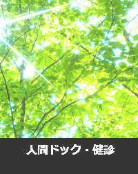 新緑に光が差し込む